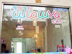 嘉善宠物店爆料视频最新,惊人内幕揭露行业黑幕